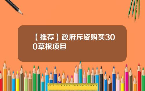 【推荐】政府斥资购买300草根项目