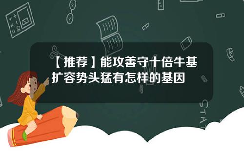 【推荐】能攻善守十倍牛基扩容势头猛有怎样的基因