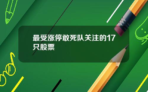 最受涨停敢死队关注的17只股票