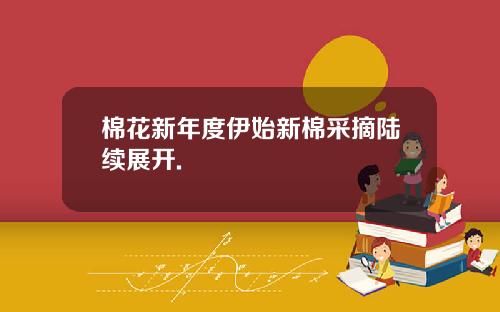 棉花新年度伊始新棉采摘陆续展开.