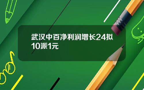 武汉中百净利润增长24拟10派1元