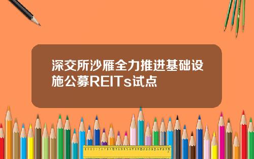 深交所沙雁全力推进基础设施公募REITs试点