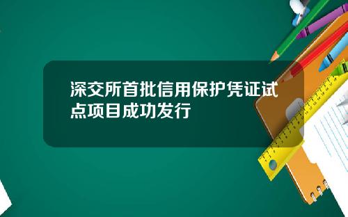 深交所首批信用保护凭证试点项目成功发行