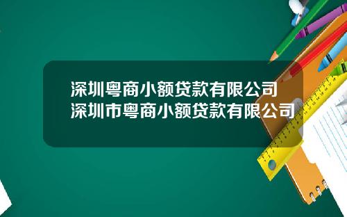 深圳粤商小额贷款有限公司深圳市粤商小额贷款有限公司