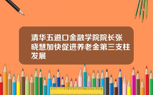 清华五道口金融学院院长张晓慧加快促进养老金第三支柱发展