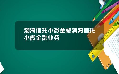 渤海信托小微金融渤海信托小微金融业务