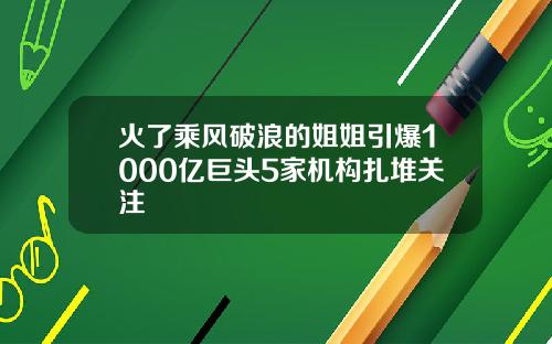 火了乘风破浪的姐姐引爆1000亿巨头5家机构扎堆关注