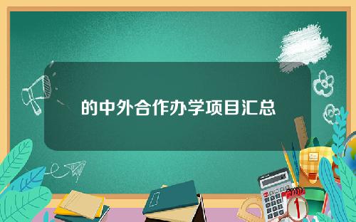 的中外合作办学项目汇总