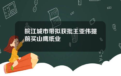 皖江城市带拟获批王亚伟提前买山鹰纸业