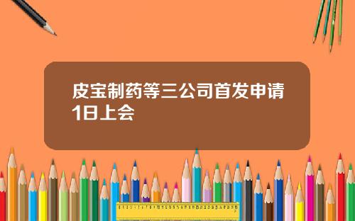 皮宝制药等三公司首发申请1日上会