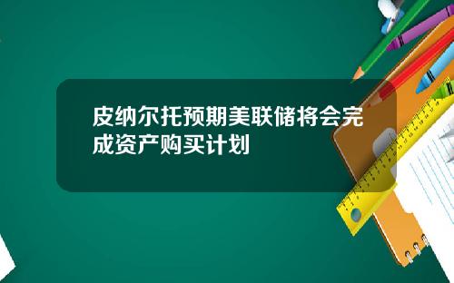 皮纳尔托预期美联储将会完成资产购买计划