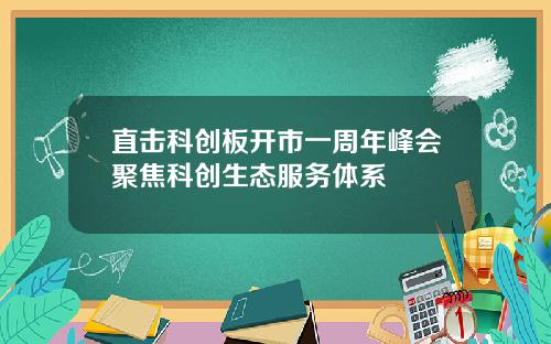 直击科创板开市一周年峰会聚焦科创生态服务体系