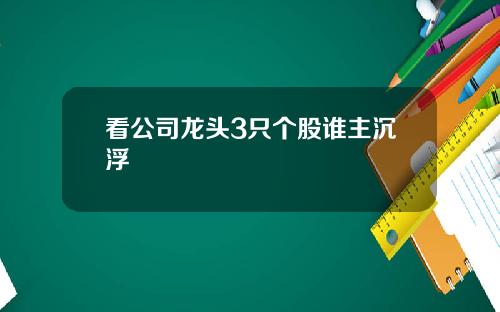 看公司龙头3只个股谁主沉浮