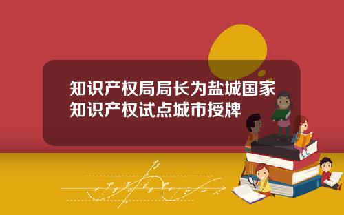 知识产权局局长为盐城国家知识产权试点城市授牌