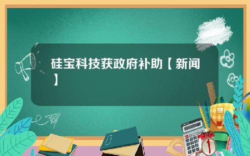 硅宝科技获政府补助【新闻】