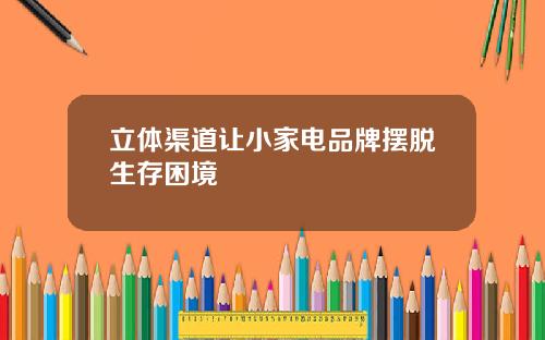 立体渠道让小家电品牌摆脱生存困境