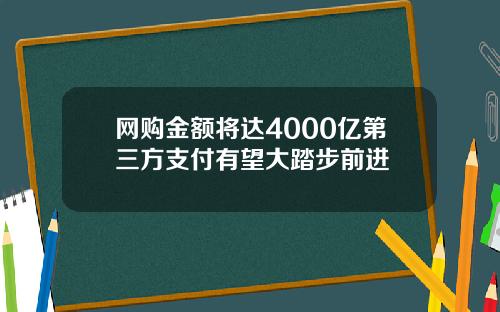 网购金额将达4000亿第三方支付有望大踏步前进