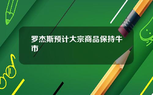 罗杰斯预计大宗商品保持牛市