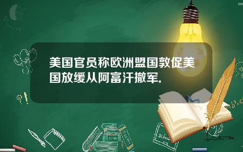 美国官员称欧洲盟国敦促美国放缓从阿富汗撤军.