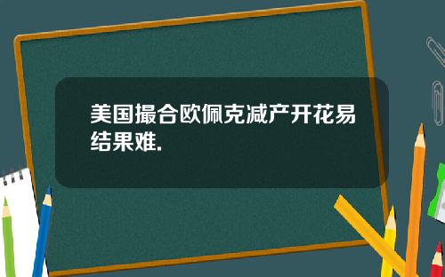 美国撮合欧佩克减产开花易结果难.