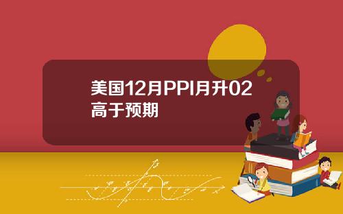 美国12月PPI月升02高于预期