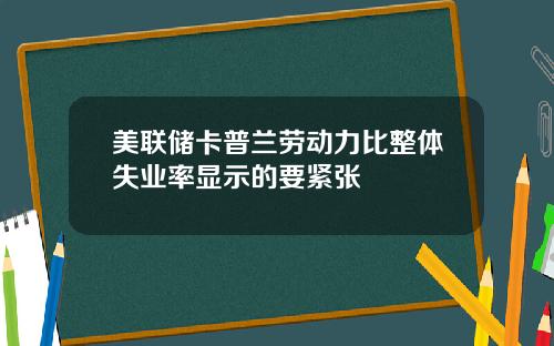 美联储卡普兰劳动力比整体失业率显示的要紧张