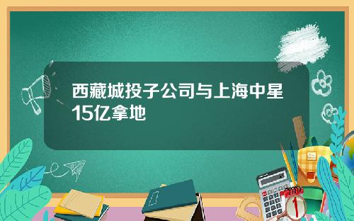 西藏城投子公司与上海中星15亿拿地