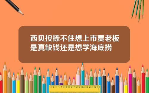 西贝按捺不住想上市贾老板是真缺钱还是想学海底捞