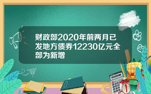 财政部2020年前两月已发地方债券12230亿元全部为新增