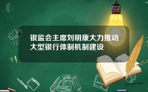 银监会主席刘明康大力推动大型银行体制机制建设