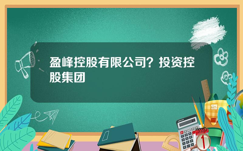 盈峰控股有限公司？投资控股集团