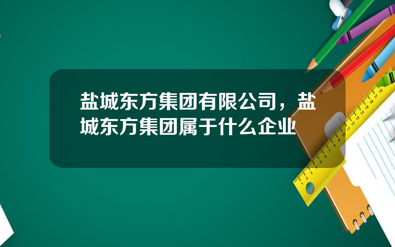 盐城东方集团有限公司，盐城东方集团属于什么企业