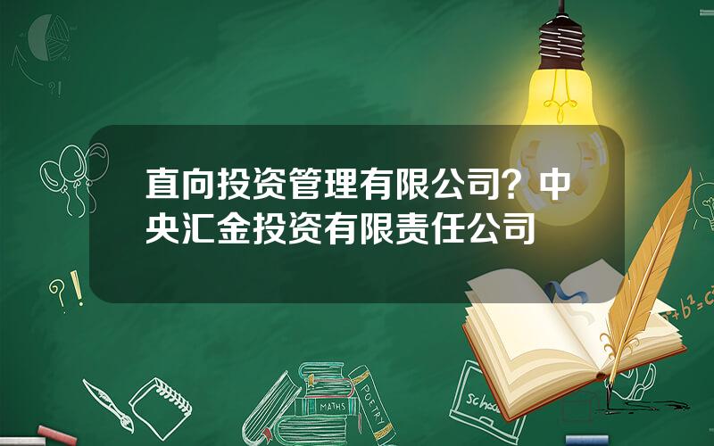 直向投资管理有限公司？中央汇金投资有限责任公司