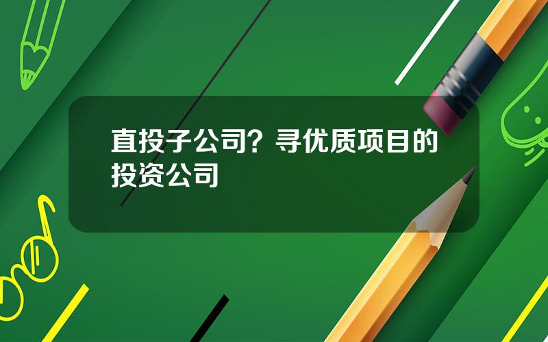 直投子公司？寻优质项目的投资公司