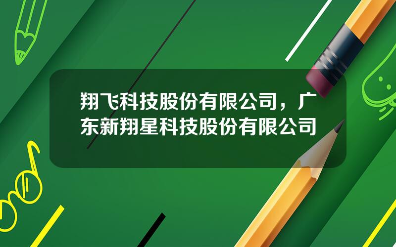 翔飞科技股份有限公司，广东新翔星科技股份有限公司