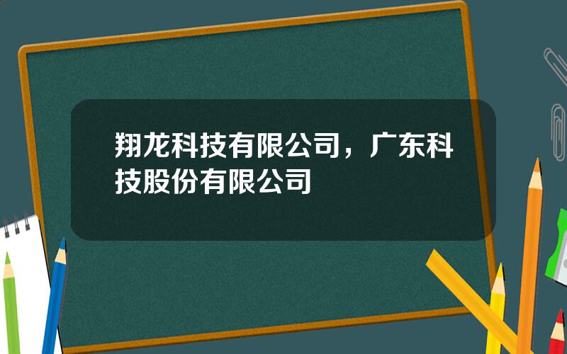 翔龙科技有限公司，广东科技股份有限公司