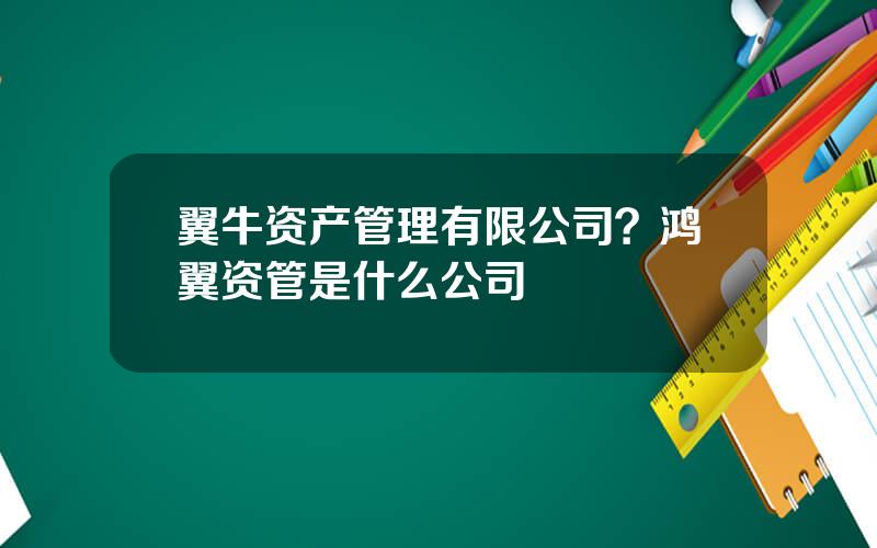 翼牛资产管理有限公司？鸿翼资管是什么公司