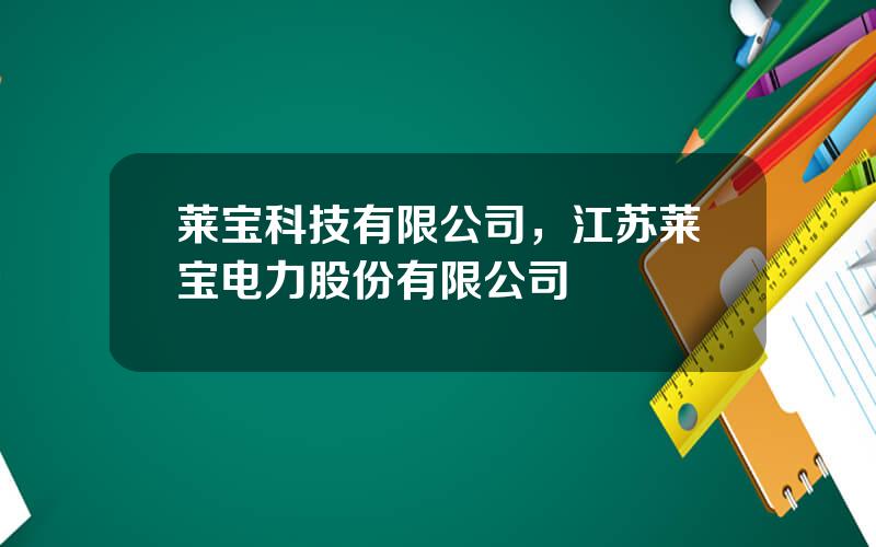 莱宝科技有限公司，江苏莱宝电力股份有限公司