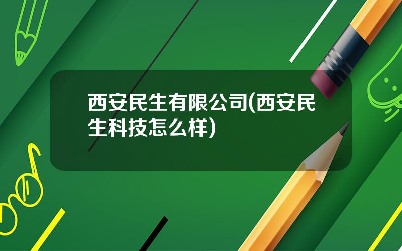 西安民生有限公司(西安民生科技怎么样)