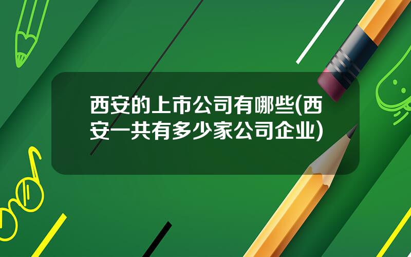 西安的上市公司有哪些(西安一共有多少家公司企业)