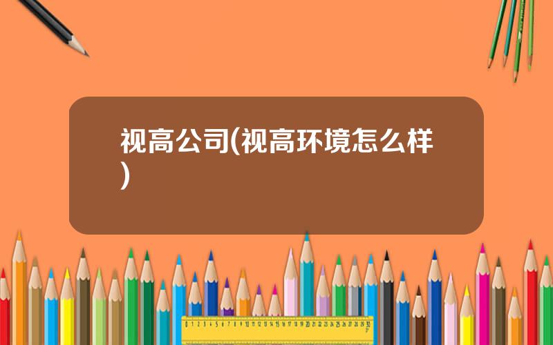 视高公司(视高环境怎么样)