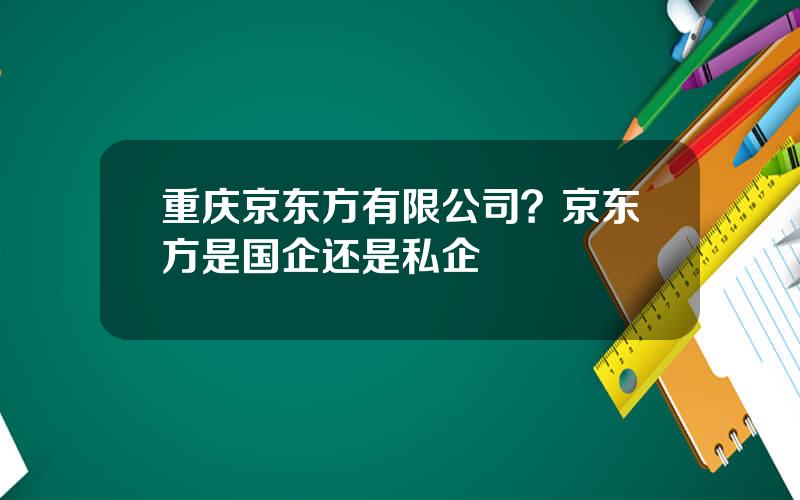 重庆京东方有限公司？京东方是国企还是私企