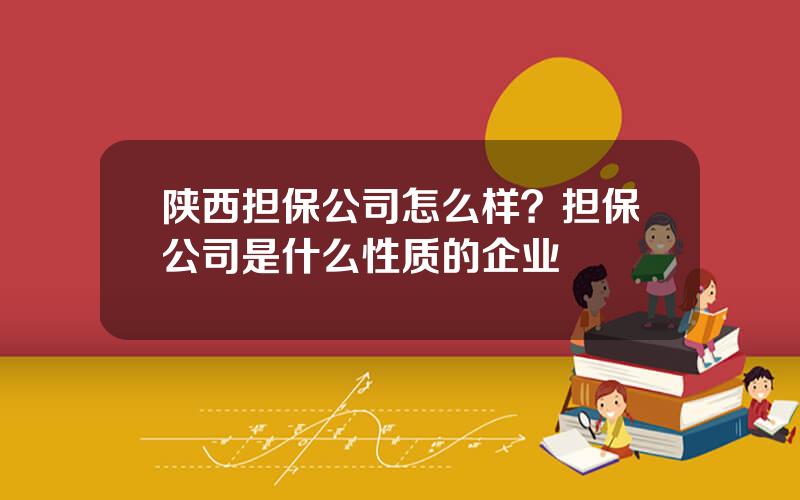 陕西担保公司怎么样？担保公司是什么性质的企业