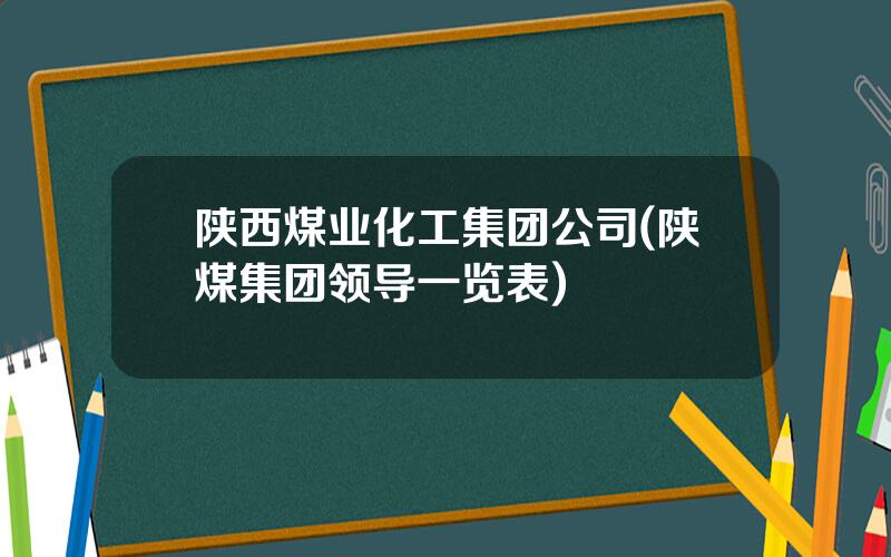 陕西煤业化工集团公司(陕煤集团领导一览表)